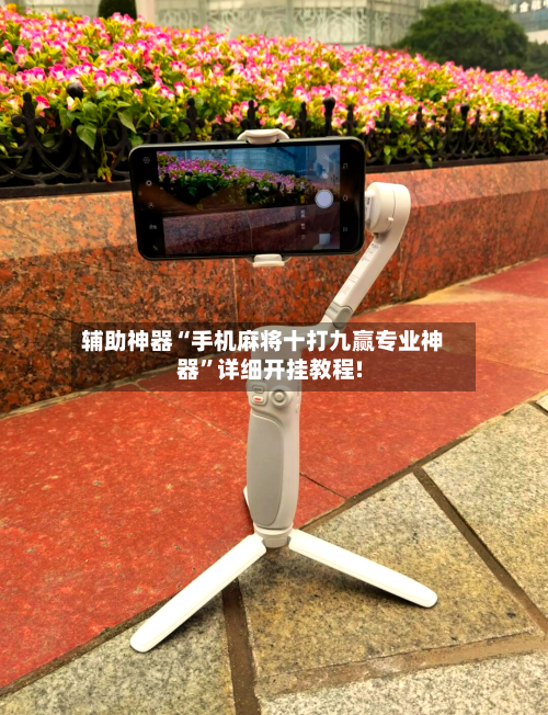 辅助神器“手机麻将十打九赢专业神器”详细开挂教程!-第2张图片