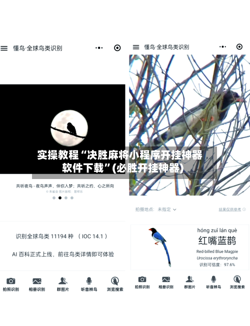 实操教程“决胜麻将小程序开挂神器软件下载	”(必胜开挂神器)-第2张图片