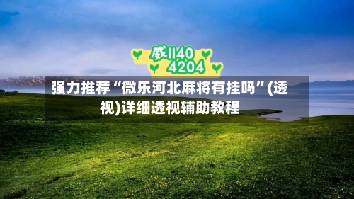 强力推荐“微乐河北麻将有挂吗	”(透视)详细透视辅助教程-第2张图片