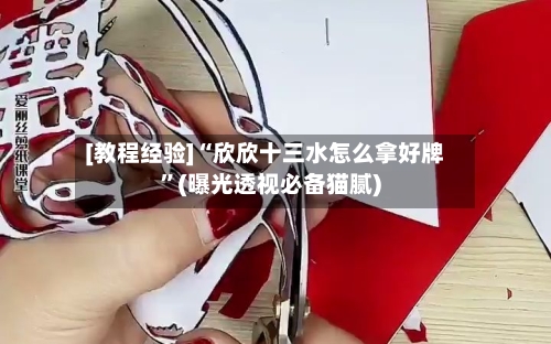 [教程经验]“欣欣十三水怎么拿好牌”(曝光透视必备猫腻)-第3张图片