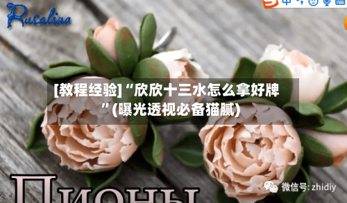 [教程经验]“欣欣十三水怎么拿好牌”(曝光透视必备猫腻)-第2张图片