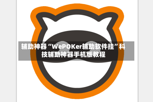 辅助神器“WePOKer辅助软件挂”科技辅助神器手机版教程-第2张图片