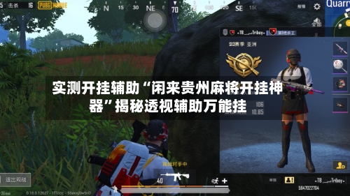 实测开挂辅助“闲来贵州麻将开挂神器	”揭秘透视辅助万能挂-第3张图片