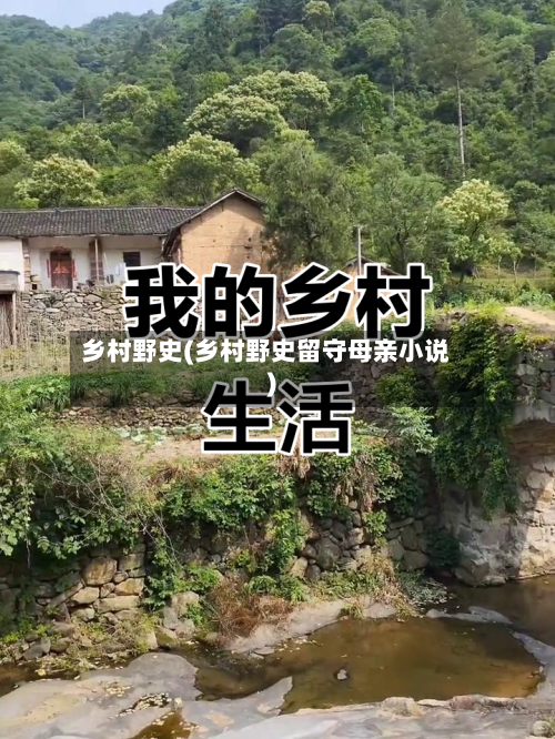 乡村野史(乡村野史留守母亲小说)