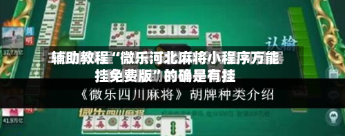 辅助教程“微乐河北麻将小程序万能挂免费版	”的确是有挂-第3张图片