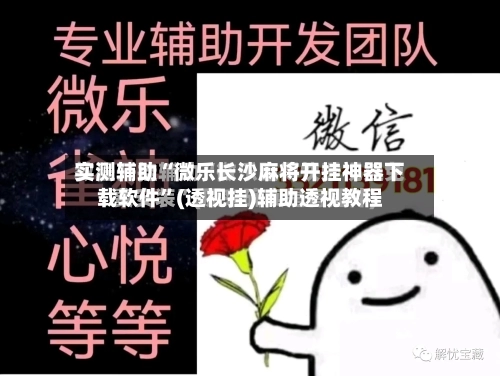 实测辅助“微乐长沙麻将开挂神器下载软件”(透视挂)辅助透视教程-第2张图片