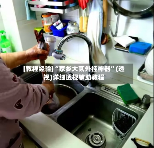 [教程经验]“家乡大贰外挂神器”(透视)详细透视辅助教程