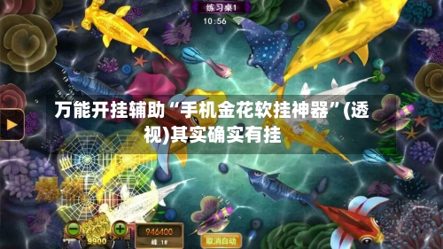 万能开挂辅助“手机金花软挂神器”(透视)其实确实有挂-第2张图片