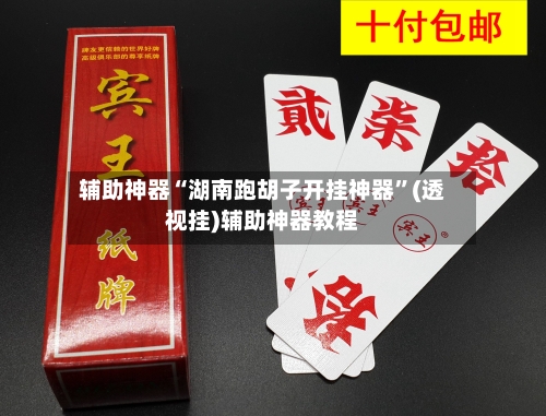 辅助神器“湖南跑胡子开挂神器	”(透视挂)辅助神器教程-第2张图片