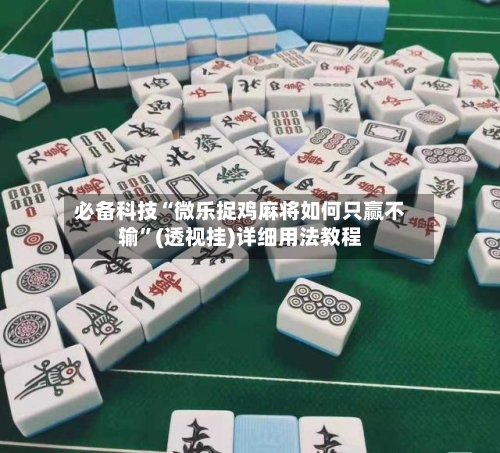 必备科技“微乐捉鸡麻将如何只赢不输”(透视挂)详细用法教程-第3张图片
