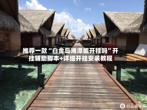 推荐一款“白金岛湘潭能开挂吗	”开挂辅助脚本+详细开挂安装教程-第2张图片