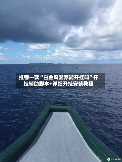 推荐一款“白金岛湘潭能开挂吗”开挂辅助脚本+详细开挂安装教程-第3张图片