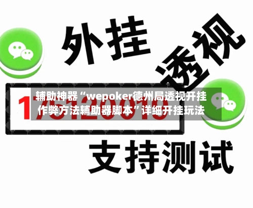 辅助神器“wepoker德州局透视开挂作弊方法辅助器脚本”详细开挂玩法-第2张图片