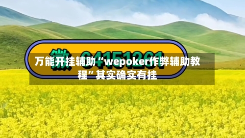 万能开挂辅助“wepoker作弊辅助教程”其实确实有挂-第2张图片