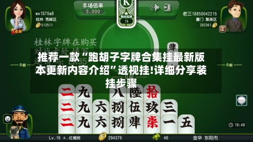 推荐一款“跑胡子字牌合集挂最新版本更新内容介绍”透视挂!详细分享装挂步骤-第3张图片