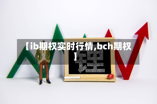 【ib期权实时行情,bch期权】-第3张图片