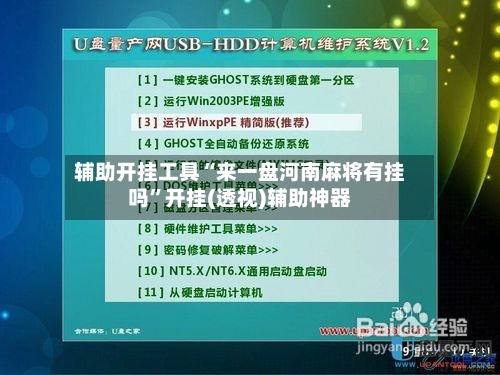 辅助开挂工具“来一盘河南麻将有挂吗	”开挂(透视)辅助神器-第2张图片