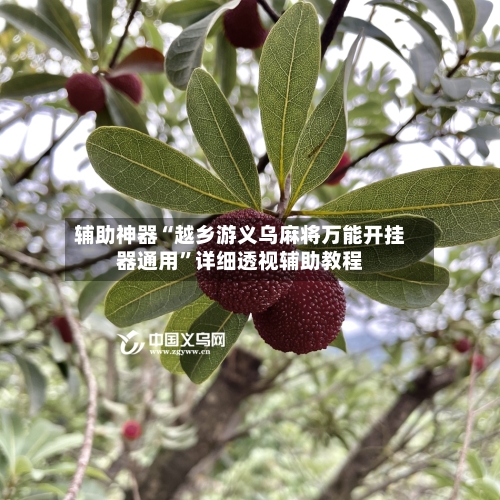 辅助神器“越乡游义乌麻将万能开挂器通用”详细透视辅助教程-第2张图片