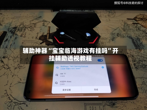 辅助神器“宝宝临海游戏有挂吗”开挂辅助透视教程-第2张图片