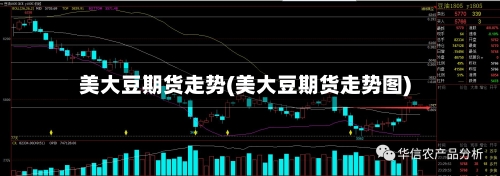 美大豆期货走势(美大豆期货走势图)-第2张图片