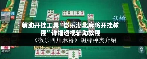 辅助开挂工具“微乐湖北麻将开挂教程	”详细透视辅助教程-第2张图片