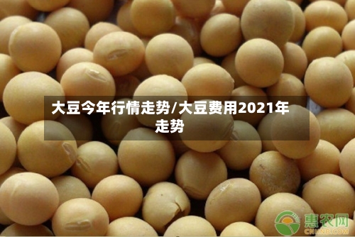 大豆今年行情走势/大豆费用2021年走势