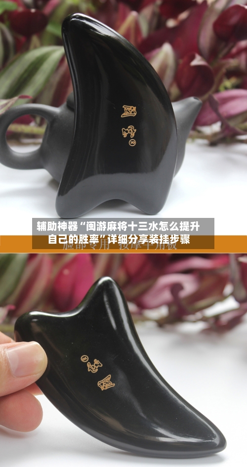 辅助神器“闽游麻将十三水怎么提升自己的胜率”详细分享装挂步骤-第3张图片