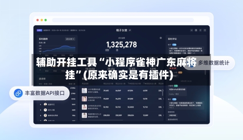 辅助开挂工具“小程序雀神广东麻将挂”(原来确实是有插件)-第3张图片