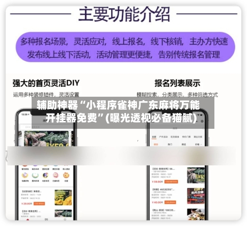 辅助神器“小程序雀神广东麻将万能开挂器免费	”(曝光透视必备猫腻)-第2张图片