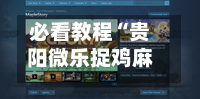 必看教程“贵阳微乐捉鸡麻将外卦神器下载安装”(必备工具)辅助教学-第2张图片