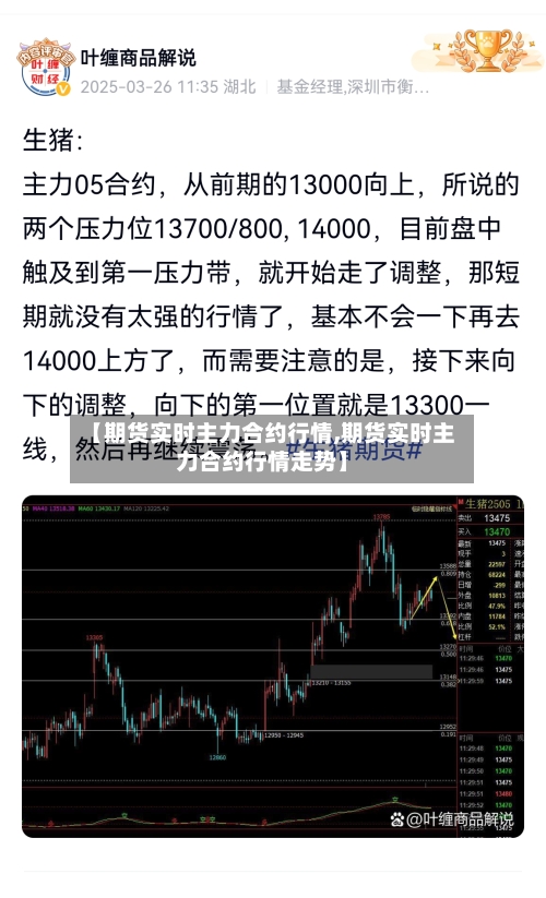 【期货实时主力合约行情,期货实时主力合约行情走势】