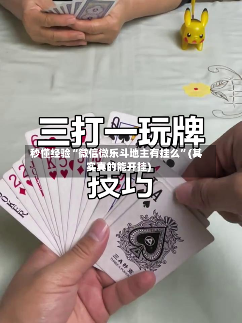 秒懂经验“微信微乐斗地主有挂么	”(其实真的能开挂)-第2张图片