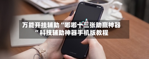万能开挂辅助“嘟嘟十三张助赢神器”科技辅助神器手机版教程-第2张图片