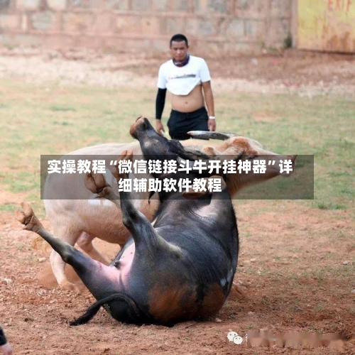 实操教程“微信链接斗牛开挂神器”详细辅助软件教程-第2张图片