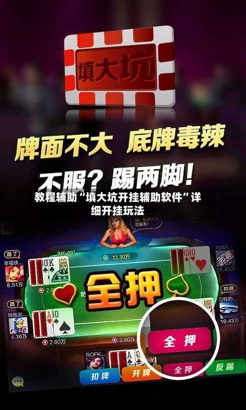 教程辅助“填大坑开挂辅助软件”详细开挂玩法-第2张图片