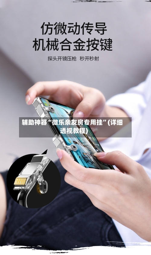 辅助神器“微乐亲友房专用挂”(详细透视教程)-第2张图片