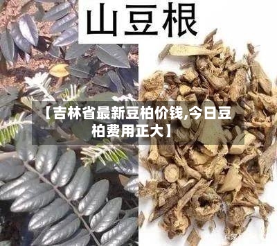 【吉林省最新豆柏价钱,今日豆柏费用正大】-第2张图片
