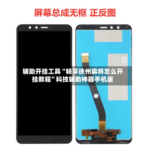 辅助开挂工具“畅享徐州麻将怎么开挂教程	”科技辅助神器手机版-第2张图片