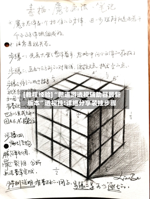 [教程经验]“新道游透视辅助器最新版本	”透视挂!详细分享装挂步骤-第2张图片