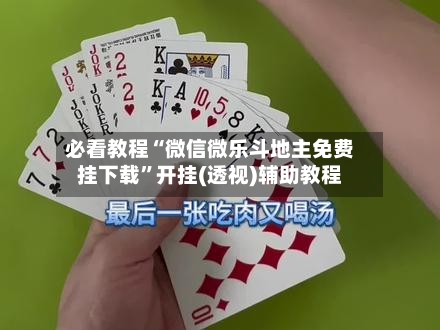 必看教程“微信微乐斗地主免费挂下载”开挂(透视)辅助教程-第2张图片