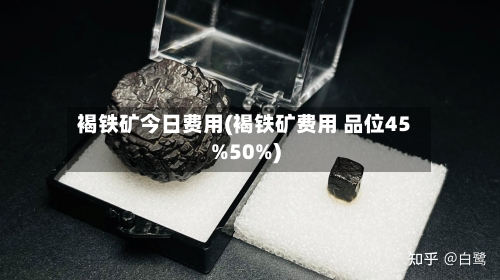 褐铁矿今日费用(褐铁矿费用 品位45%50%)-第2张图片
