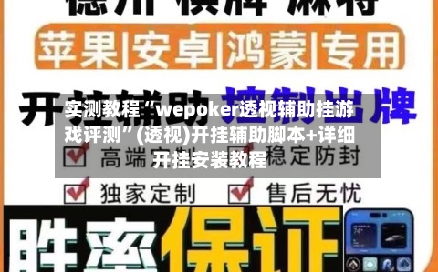 实测教程“wepoker透视辅助挂游戏评测”(透视)开挂辅助脚本+详细开挂安装教程-第3张图片