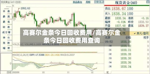 高赛尔金条今日回收费用/高赛尔金条今日回收费用查询