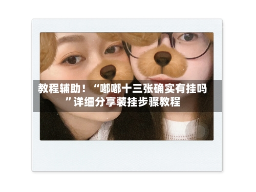教程辅助！“嘟嘟十三张确实有挂吗	”详细分享装挂步骤教程-第2张图片