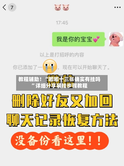 教程辅助！“嘟嘟十三张确实有挂吗”详细分享装挂步骤教程-第3张图片