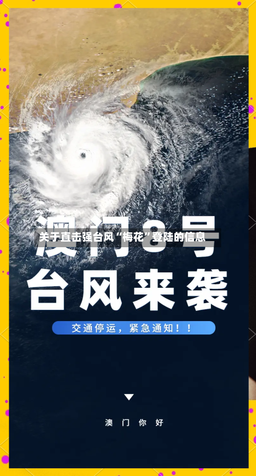 关于直击强台风“梅花”登陆的信息