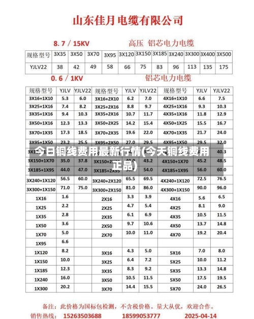 今日铜线费用最新行情(今天铜线费用正品)-第2张图片
