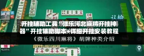 开挂辅助工具“微乐河北麻将开挂神器”开挂辅助脚本+详细开挂安装教程-第3张图片