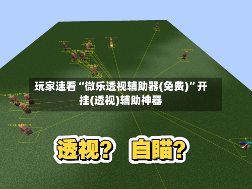 玩家速看“微乐透视辅助器(免费)”开挂(透视)辅助神器-第2张图片