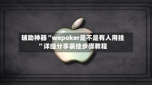 辅助神器“wepoker是不是有人用挂”详细分享装挂步骤教程-第3张图片